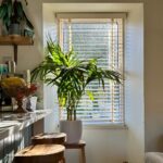 Porcelain White Luxury Real Wood Blind in a Styled Kitchen