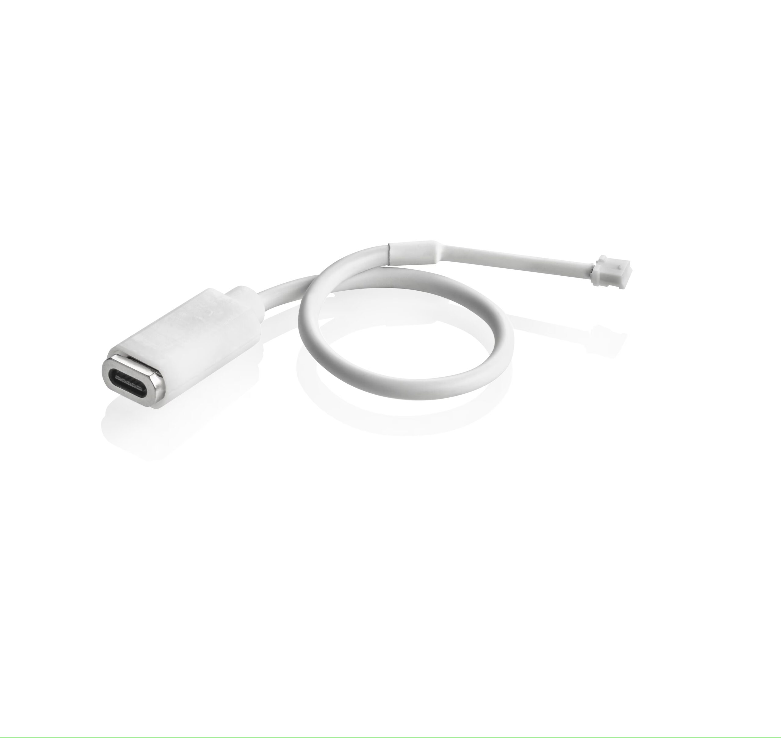 MAGNETIC CABLE LION scaled jpg